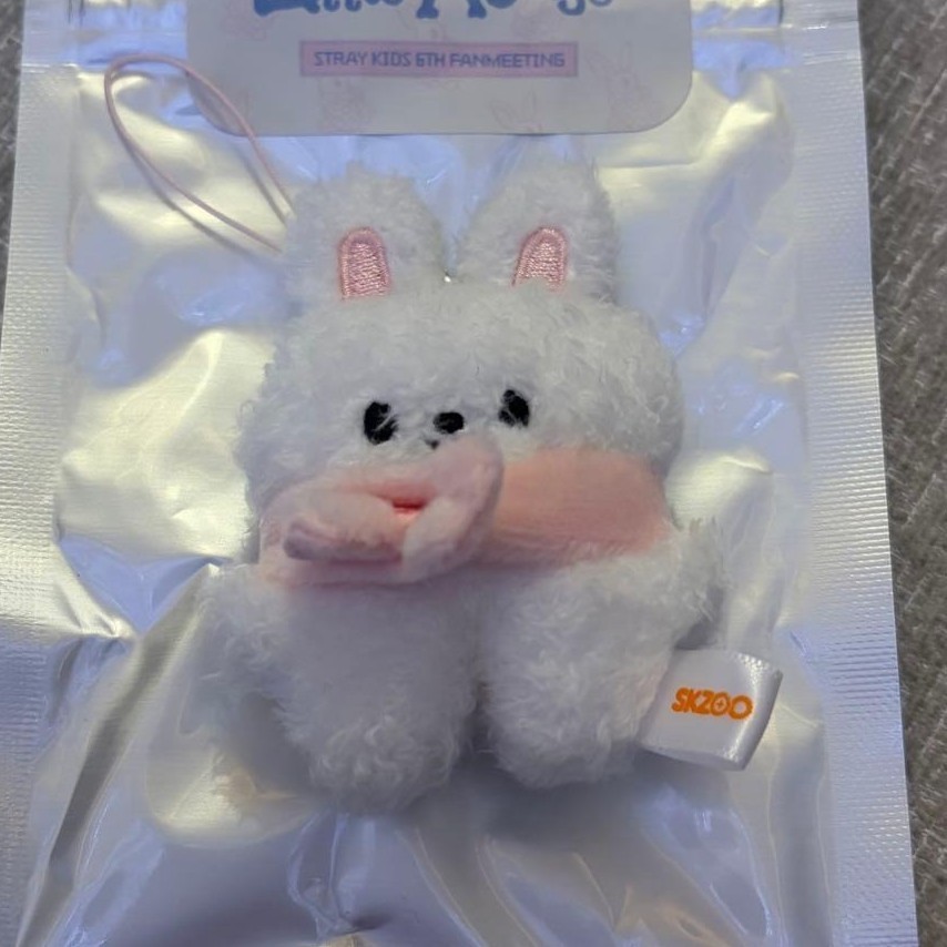 Stray Kids 6th Fanmeeting SKZOO Secret Plush Micro ver. – Choose
