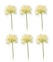 6Er Set KüNstliche Chrysanthemen Creme GrüN H. 58Cm Emerald Kunstblumen Wa