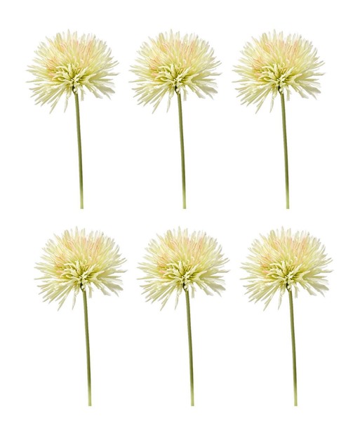 6Er Set KüNstliche Chrysanthemen Creme GrüN H. 58Cm Emerald Kunstblumen Wa-image