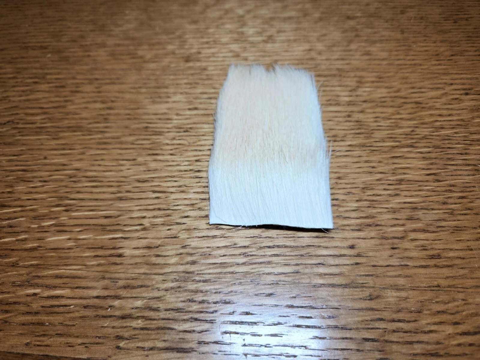 Picture 4 of 6