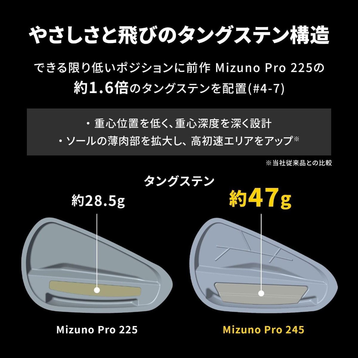 Mizuno Golf Club Mizuno Pro 245 GW N.S.Pro Modus 3 Tour 105 Steal