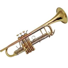 Stradivarius trumpet, professional instrument, 50th anniversary trumpet