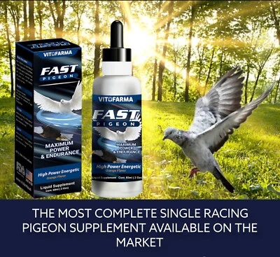 VITOFARMA SUPPLEMENT FOR FAST PIGEON | RACES PIGEON, ENERGYZIN LIQUID 60 ML