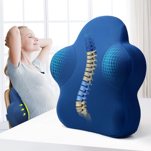 Lumbar Support Pillow for Office Chair, Memory Foam Back Support Pillow