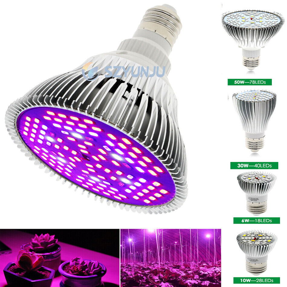 verkiezing Elasticiteit herhaling E27 LED Grow Light 6W 10W 50W 100W Lamp Bulb Full Spectrum for Hydroponic  Plant | eBay