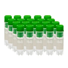 1000Pcs 2.0ml Cryogenic Vials, Lab Tubes with Caps, Assorted color