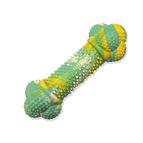 Nylabone Flavor Frenzy Barbell Puppy Chew Toy NPRD803P - Gre