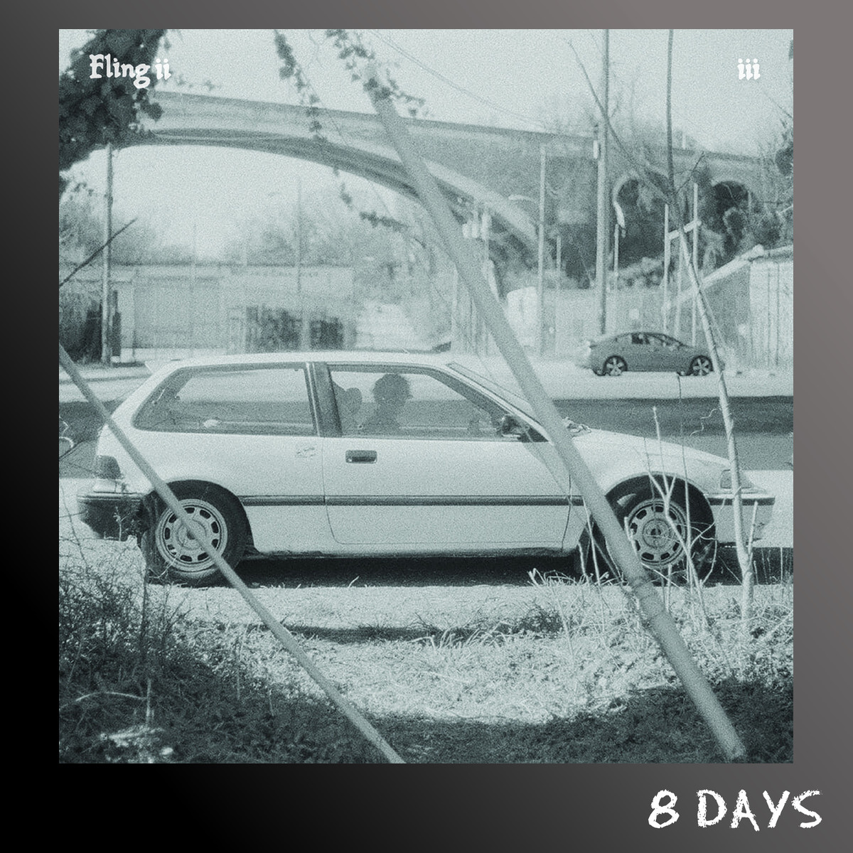 fling ii - 3 - LP | Presale Ships By 21.8.26