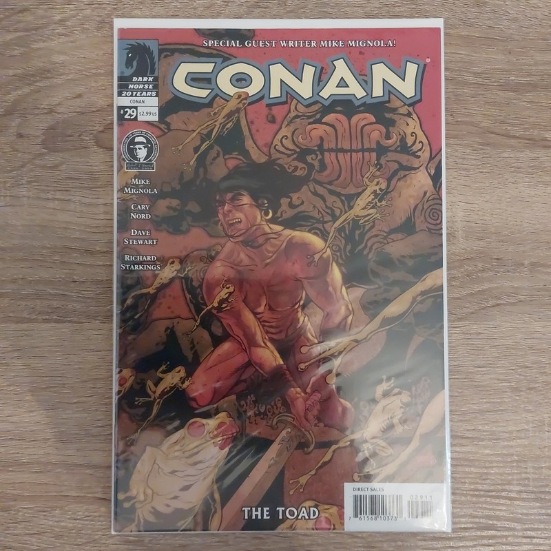 Dark Horse Comics Conan the Barbarian #29 (2004-2008)