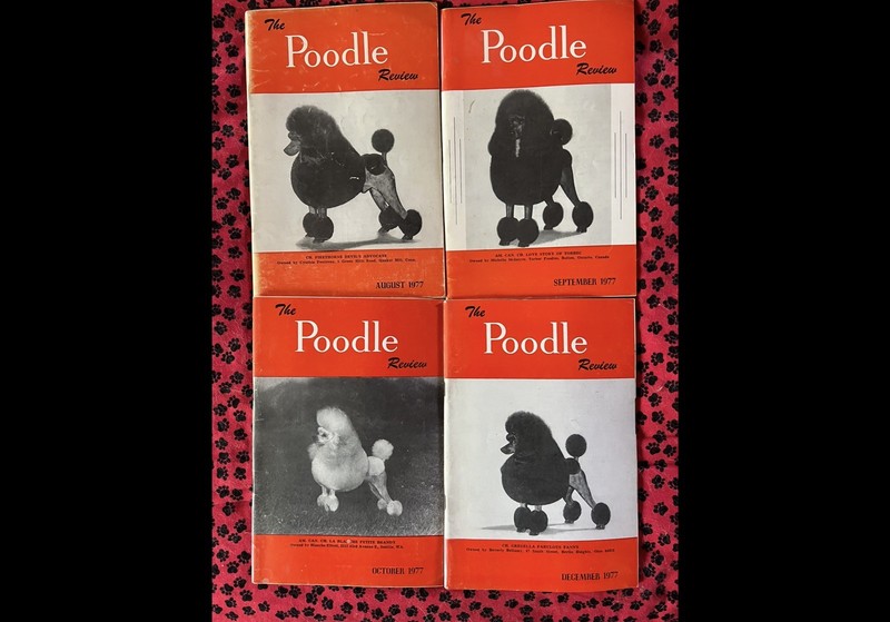 POODLE REVIEW Magazine #3 1977 (lot 4)