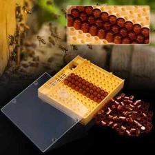 Beekeeping Bee Queen Rearing Cell Cup Box Kit Plastic Honeycombs Queen Bee Cage