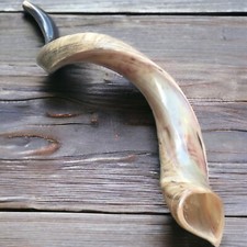 Yemenite Kudu Horn Shofar 22''-24'' New Made in Jerusalem Free Shipping 