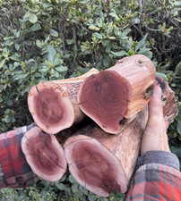 Manzanita Driftwood Trunk Reptile Aquascape Terrarium DIY 4 Pieces 14.3 Lb