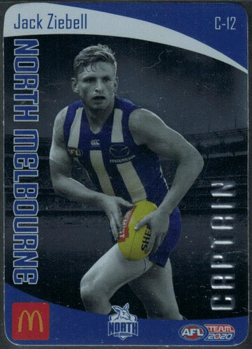 2020 AFL TEAMCOACH CAPTAIN CARDS; Individual Card Sale. - Bild 13 von 19