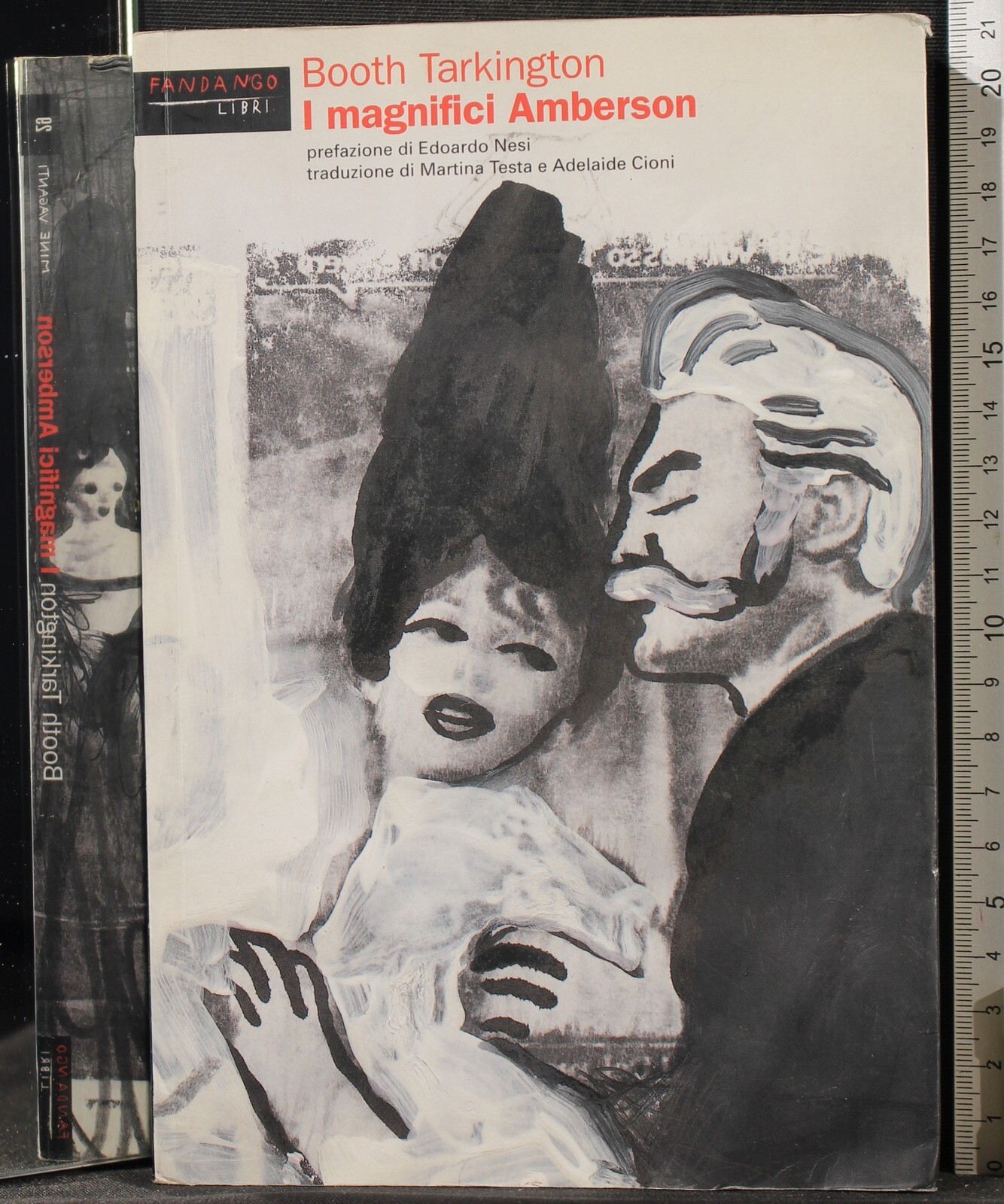 I MAGNIFICI AMBERSON. BOOTH TARKINGTON. FANDANGO.