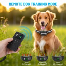 2-in-1 Remote Control Dog Training System And GPS Pet Fence System