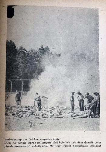 1955 Polonia OLOCAUSTO Varsavia AUSCHWITZ BIRKENAU foto ebraiche ATROCITÀ NAZISTE - Foto 20 di 24