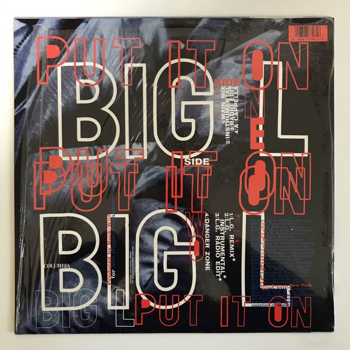 BIG L / THE BIG PICTURE とput it on 12inc Big L The Big Picture Vinyl Record