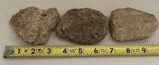 3 Medium Pumice Volcanic Stones for Terrarium/Rock Garden/Collection - Floats!