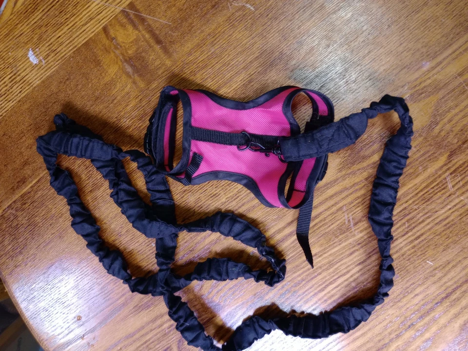 Arnés Kaytee Comfort Talla GRANDE Correa Elástica (Rosa) Hurón Conejo NUEVO Foto 3 de 3