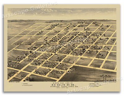 Homer Illinois 1869 Historic Panoramic Town Map - 18x24
