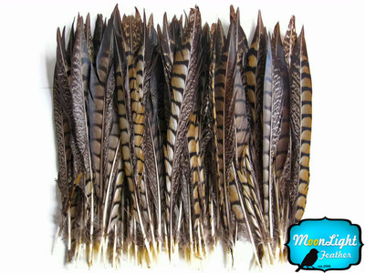 10 Pieces - 18-20'' NATURAL LONG Lady Amherst Pheasant Tail Feathers