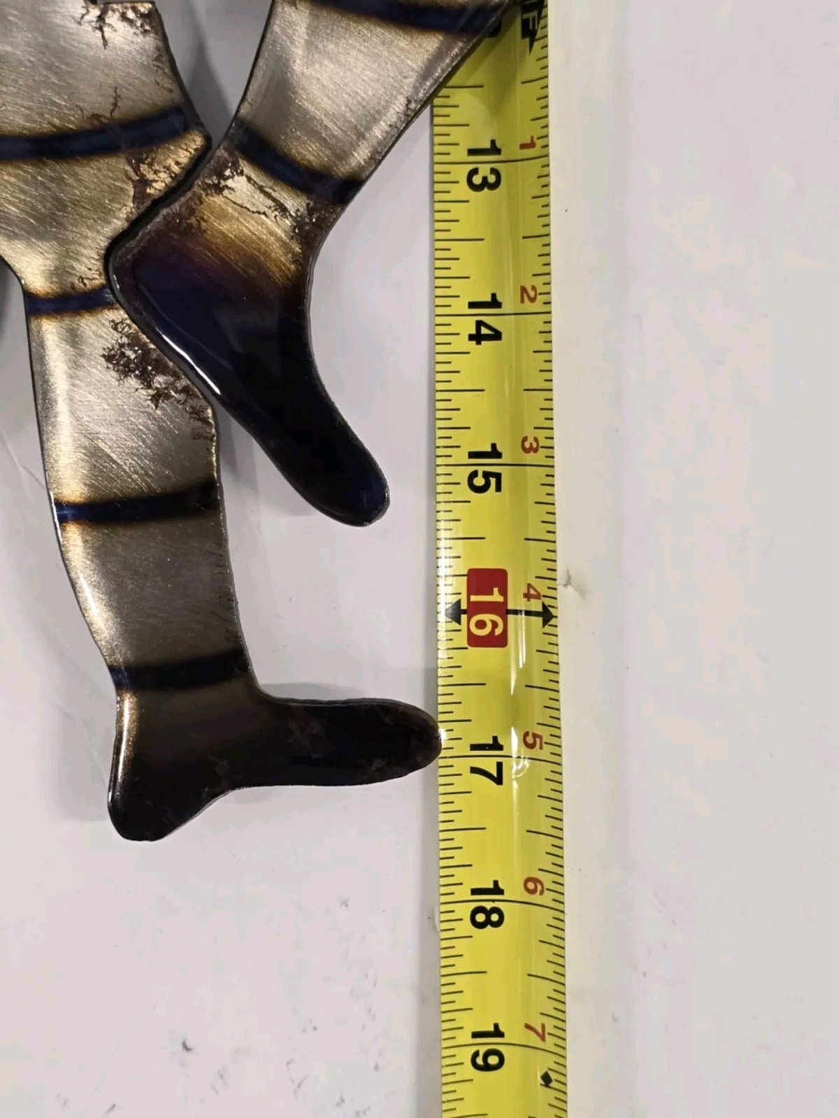 Picture 17 of 17