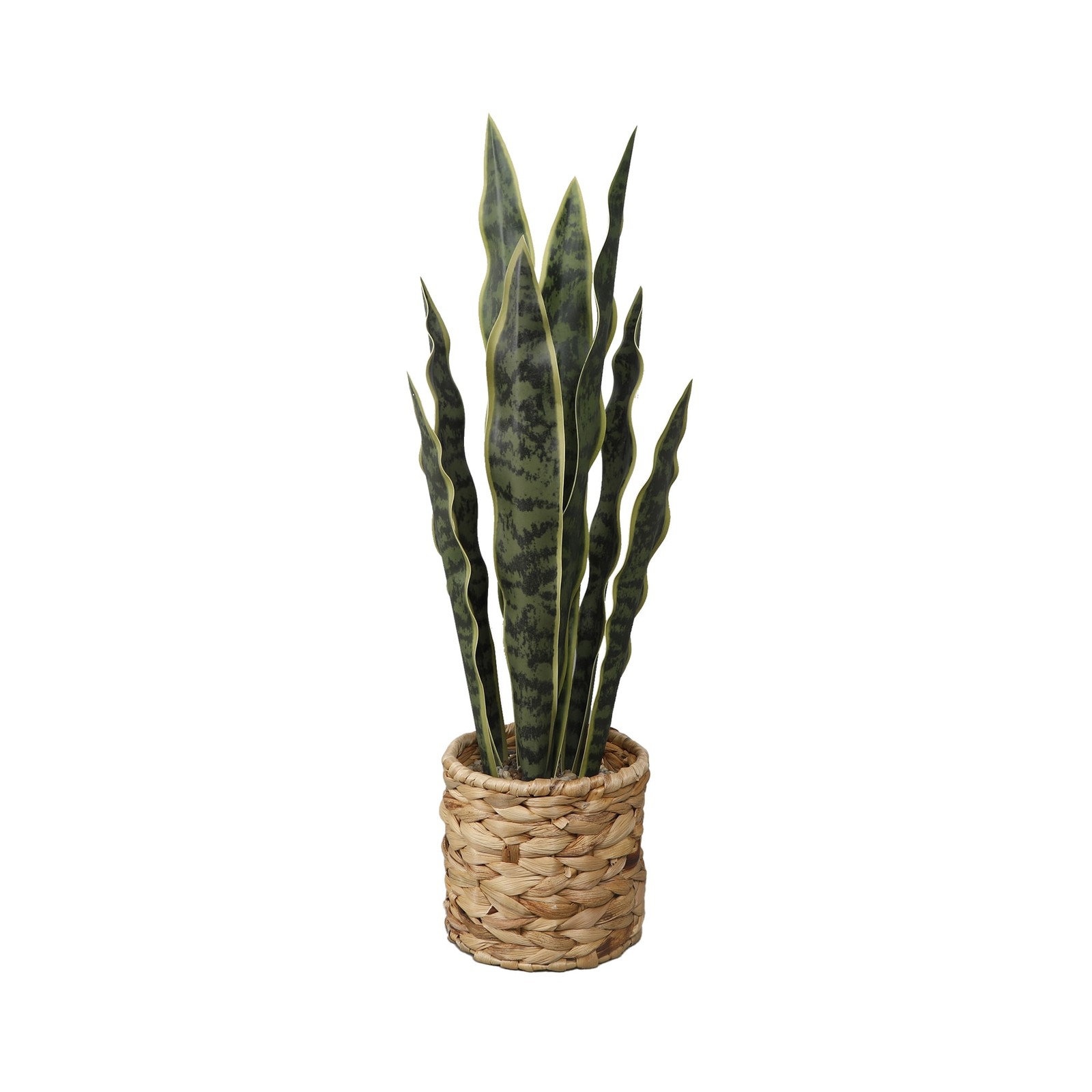  Collection Flora Bunda 24.3" Artificial Snake Plant in Rattan Basket