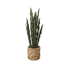  Collection Flora Bunda 24.3" Artificial Snake Plant in Rattan Basket