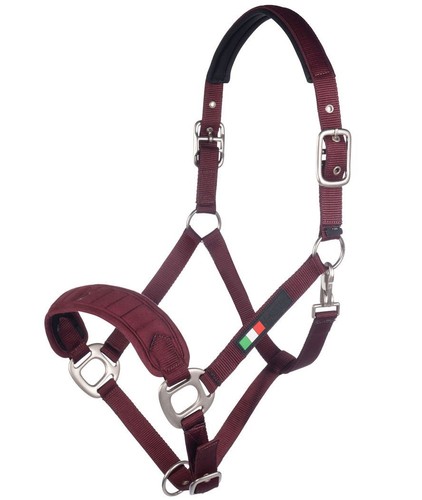 Rhin setone cheval cuir bride rembourrée avec cuir de vache souple pour l'équita