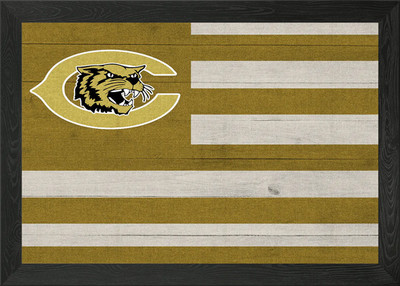 Gerahmtes Wandbild Poster Kanadische Wildkatzen Flagge Leinwanddruck Bild