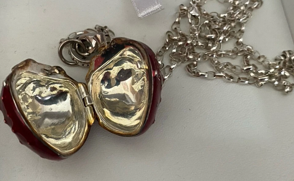 Massive Thomas Sabo Kette & Carrier & Riesen Erdbeere 🍓 Medaillon Charm... - Bild 3 von 4