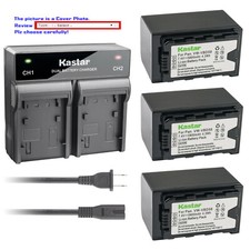 Kastar Battery AC Rapid Charger for Panasonic VW-VBD29 VW-VBD58 VW-VBD58E-K