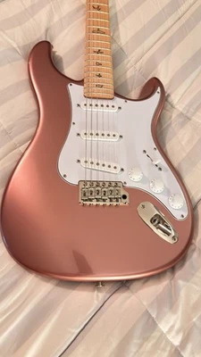 PRS Silver Sky - Midnight Rose - image 1 of 4