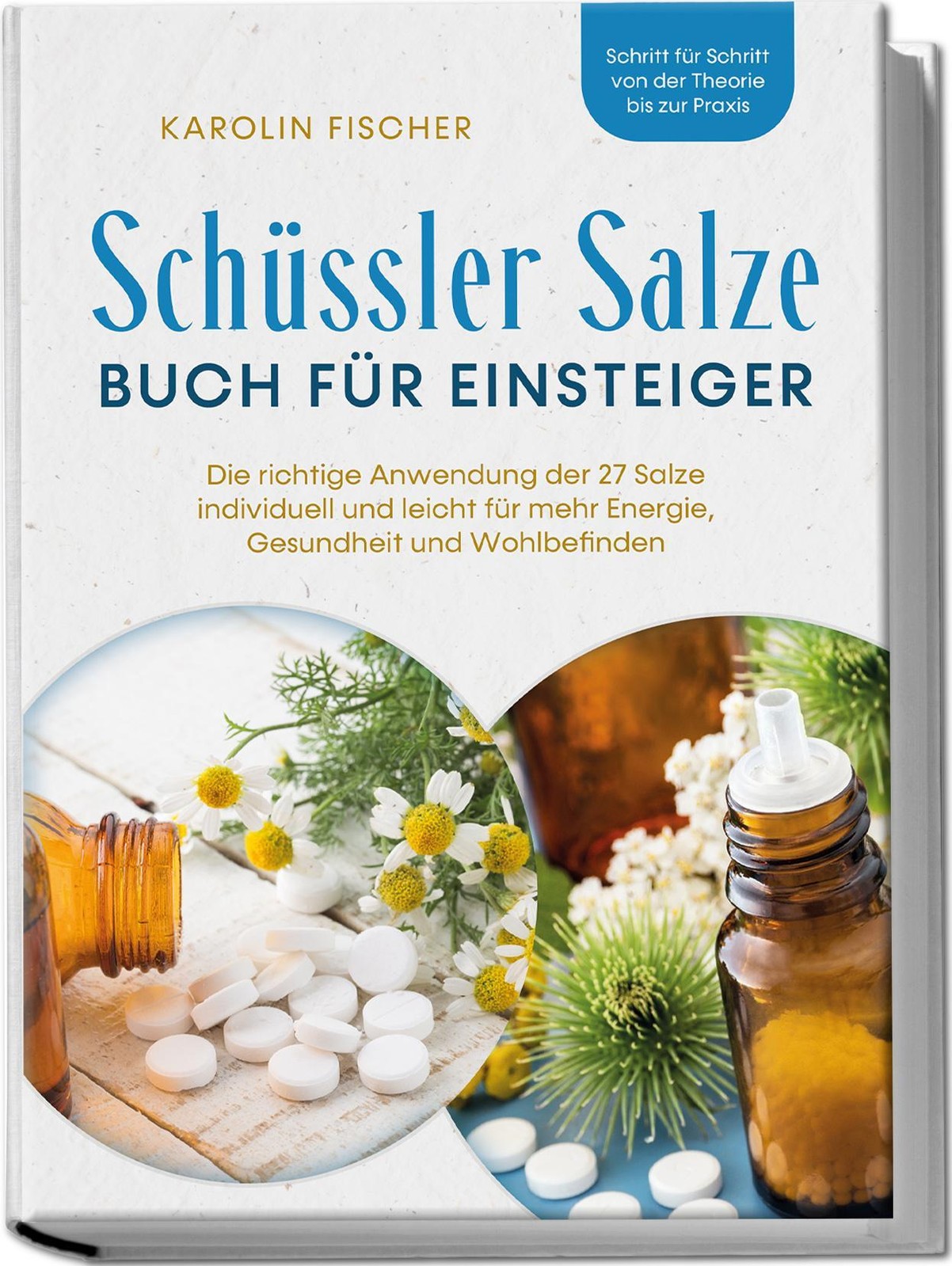 Karolin Fischer / Schüssler Salze Buch für Einsteiger: Die richtige Anwendun ...