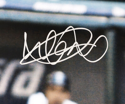 MLB Seattle Marinrs Ichiro Suzuki サイン入り Ichiro Suzuki Autographed Official Gold Glove Logo MLB