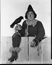 The Wizard of Oz 1939 Ray Bolger Scarecrow Rare Vintage 8x10 Studio Negative 