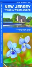 New Jersey Trees & Wildflowers, Paperback by Kavanagh, James; Leung, Raymond ...
