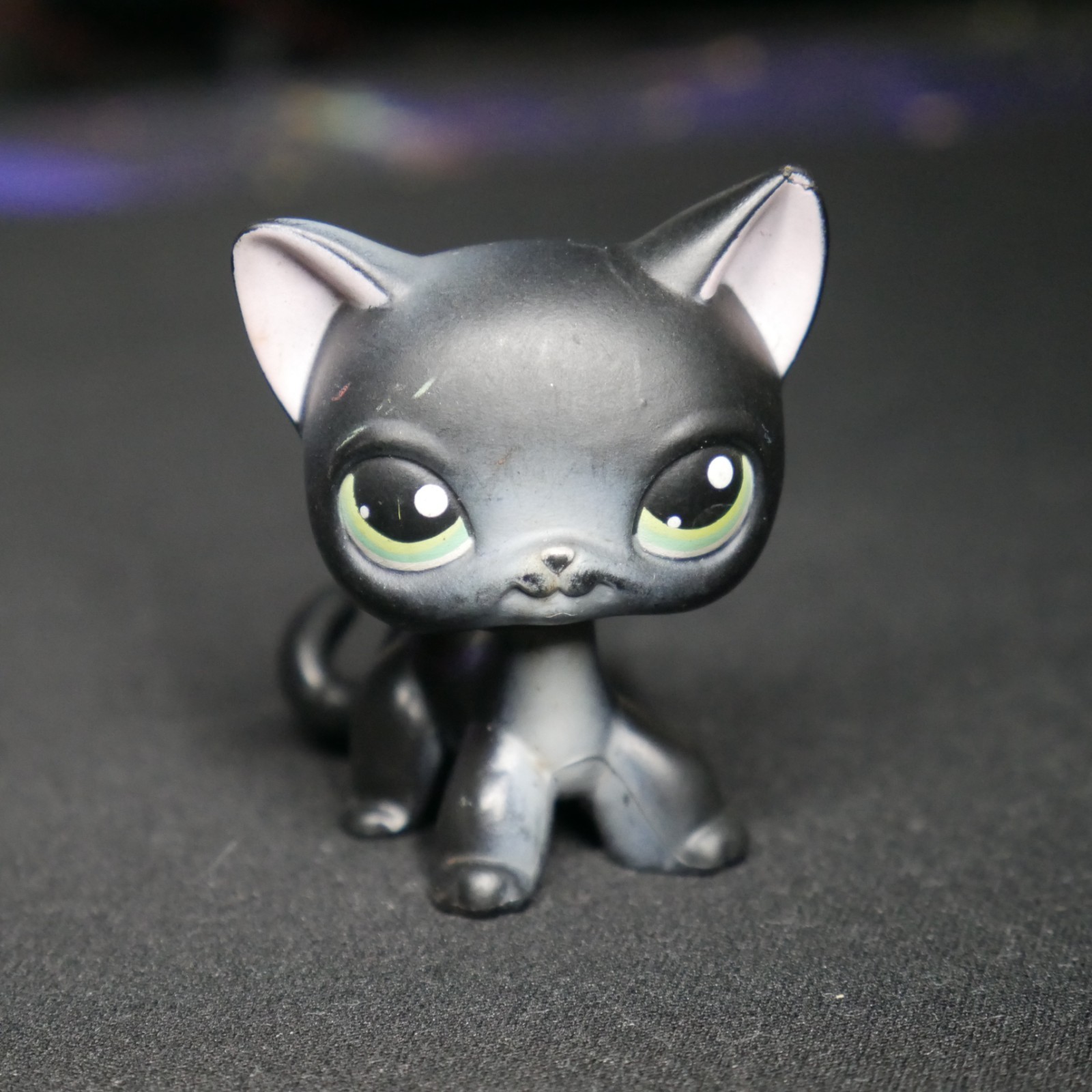 Hasbro Littlest Pet shop #336 Authentic Black Shorthair Cat FREE ...