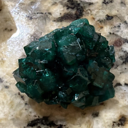 Dioptase Crystal Cluster Specimen from Tsumeb, S.W. Africa w/ Labeled Box