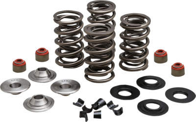 Kibblewhite Lightweight Racing Valve Spring Kit 0.650'' 20-23550