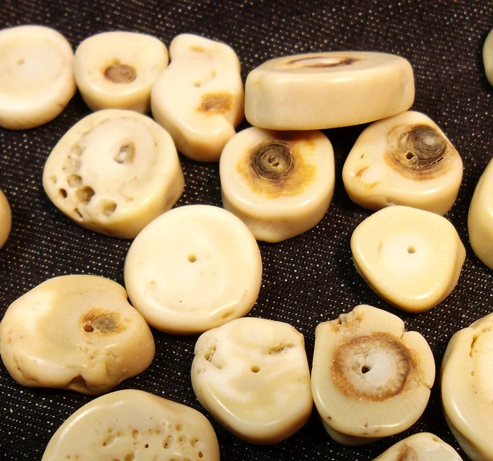 Koralle Perlen Weiß Schmuckperlen Natur Edelstein Naturstein Münze DIY G619#2 - Bild 4 von 4