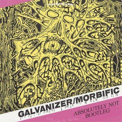 GALVANIZER / MORBIFIC - split CD