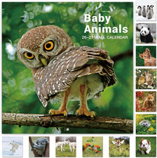 2026-2027 Calendar - 18 Month Baby Animals Wall Calendar 2026-2027 from July 202