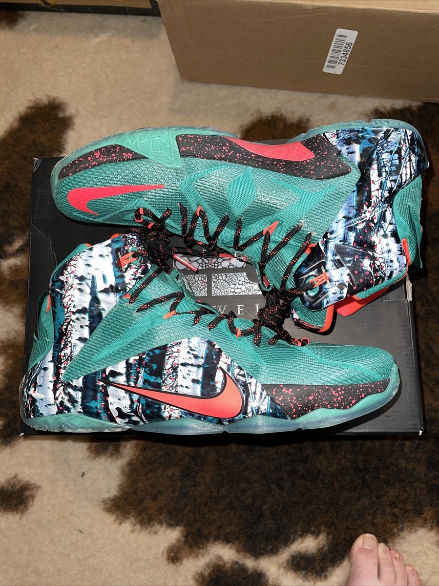 Size 13 - Nike LeBron 12 Xmas Akron Birch 2014 707558-363 | eBay