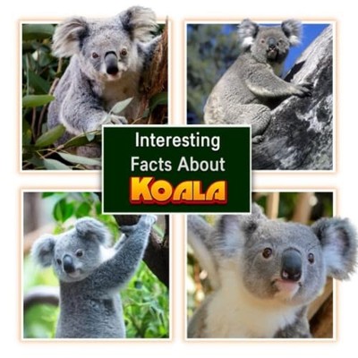 Interesting Facts About Koala Children's Picture Book f -  NEW JAMES K. MAHI 202