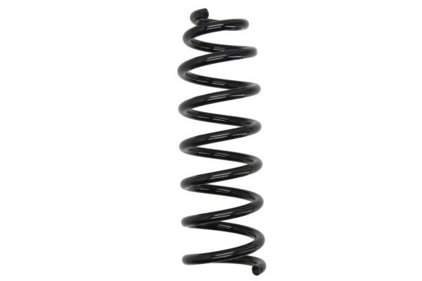 Front Magnum Technology SB109MT Suspension Spring for BMW