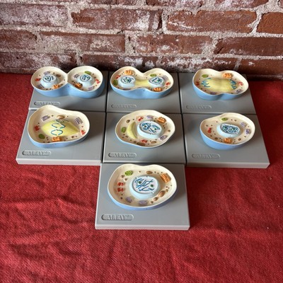 Altay Animal Cell Mitosis Model Set Incomplete Read Description