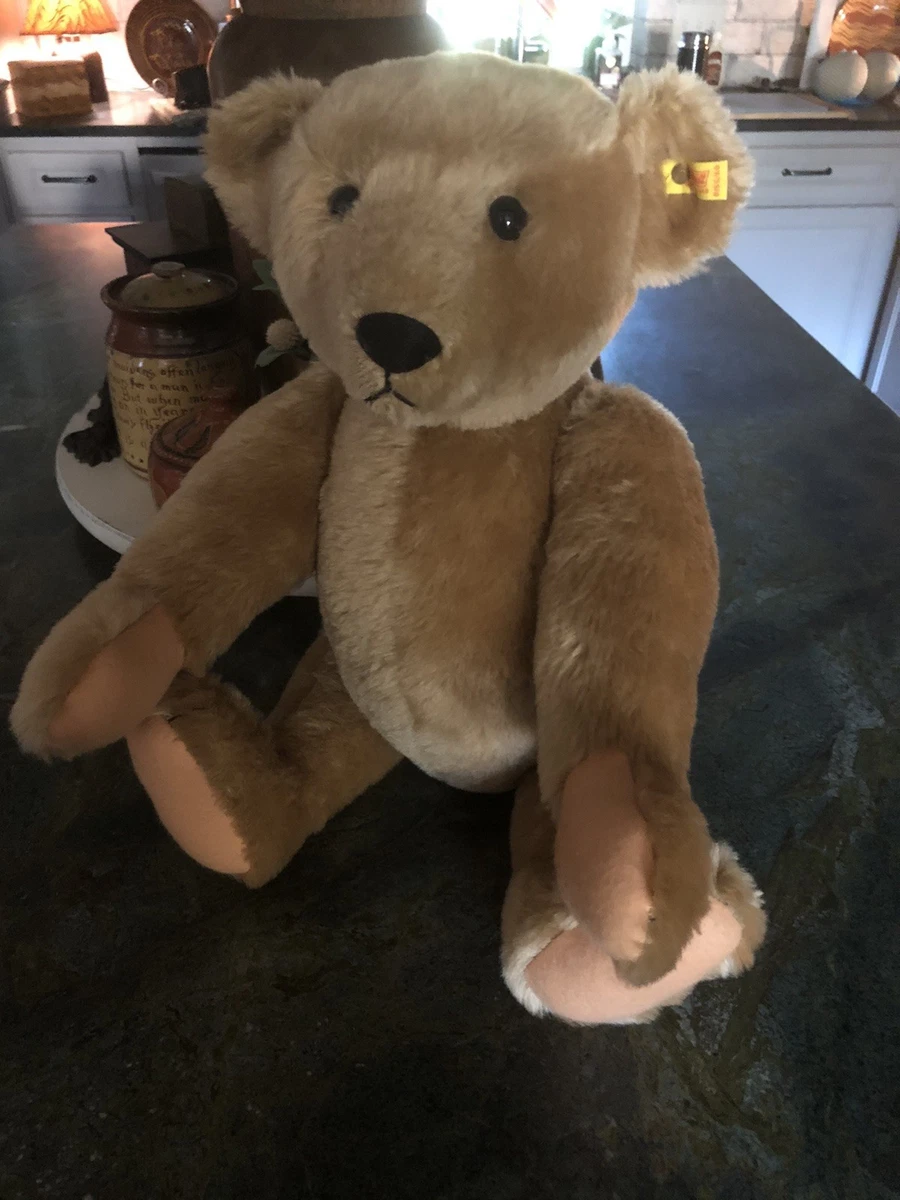 21 - 25 in Size Steiff Teddy Bears for sale | eBay