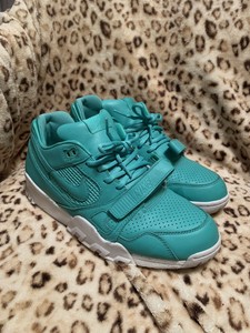 nike air trainer 2 low